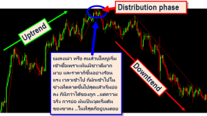 The distribution phase forex in thai 1