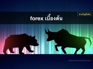 forex beginner