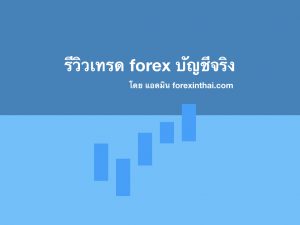 review trade forex