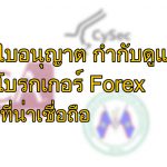 forex license