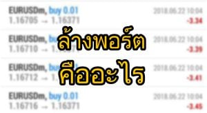 ล้างพอร์ต คืออะไร